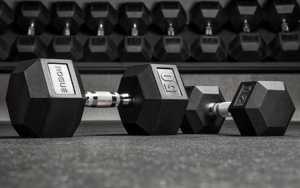 Unlocking Affordable Fitness: Finding Cheap Dumbbells in Sydney