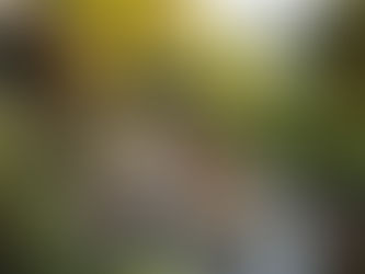 What Is The Cost
Of Installing Garden Fire Pit?