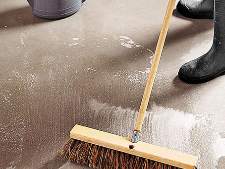 Steps Professionals Follow To Carry Out Basement Cleaning Task