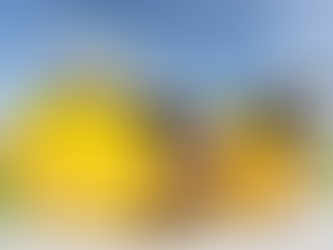 Top Benefits Of Renting Skip Bins