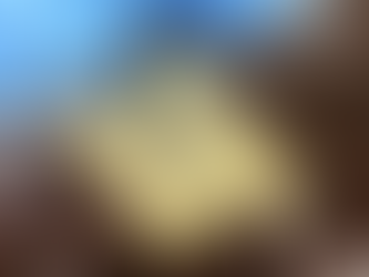 A Complete Guide to Marble Etch Repair and Surface Care