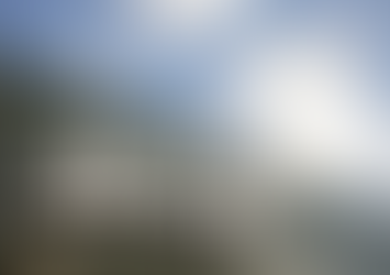 Popularize Your Business With Business Signs