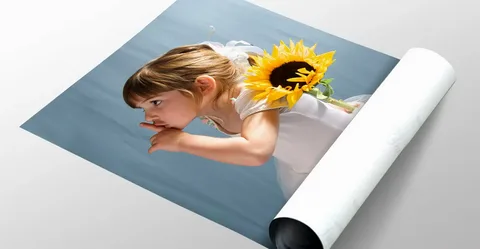 posters printing norwest