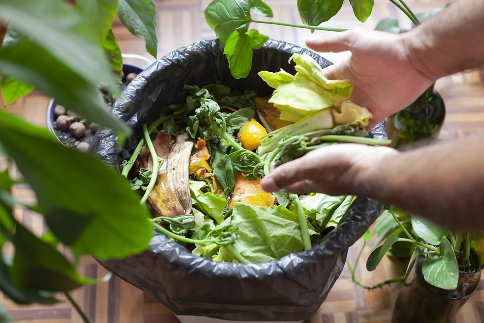Waste Avoidance Begins Before Materials Ever Enter the Workplace