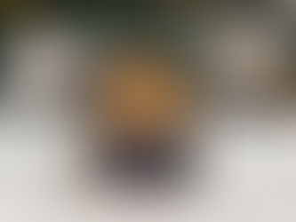 Reasons To Have A Portable Backyard Fire Pit