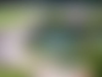 Here Is Why You Should Go For Concrete Fish Pond Waterproofing