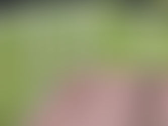 Improving the Overall Persona of Your Home with aluminium balustrades