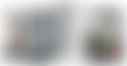 Guide on choosing the best commercial refrigerator