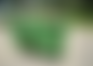 Discovering the Perfect Skip Bin in Miranda: A Local's Guide to Efficient Waste Management