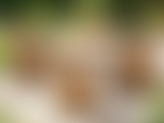 The Top 5 Teak Outdoor Tables For Your Outdoor Living Space