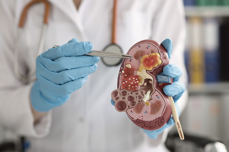 Atuacao-Glandula-Suprarrenal.jpg