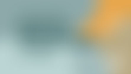 Das Programm im Januar 