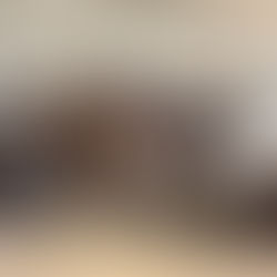 Viele Grüße von Vevi – Theaterbesuch der 2c im Next Liberty