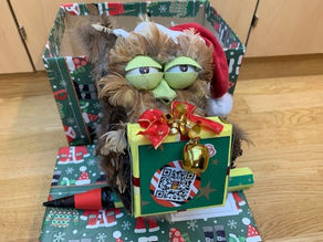 Ein Christbaumschmuck für Augen und Ohren