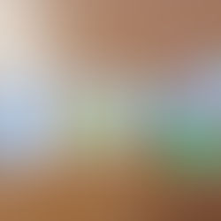 Der bunte Dobler Weg – Sieg für die Vielfalt