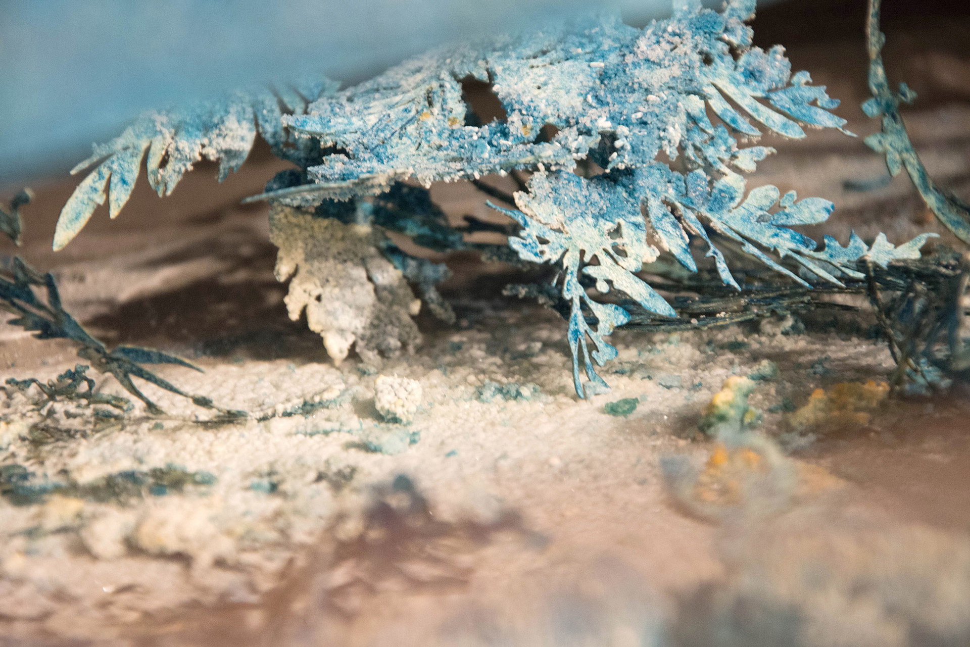 untitled image
