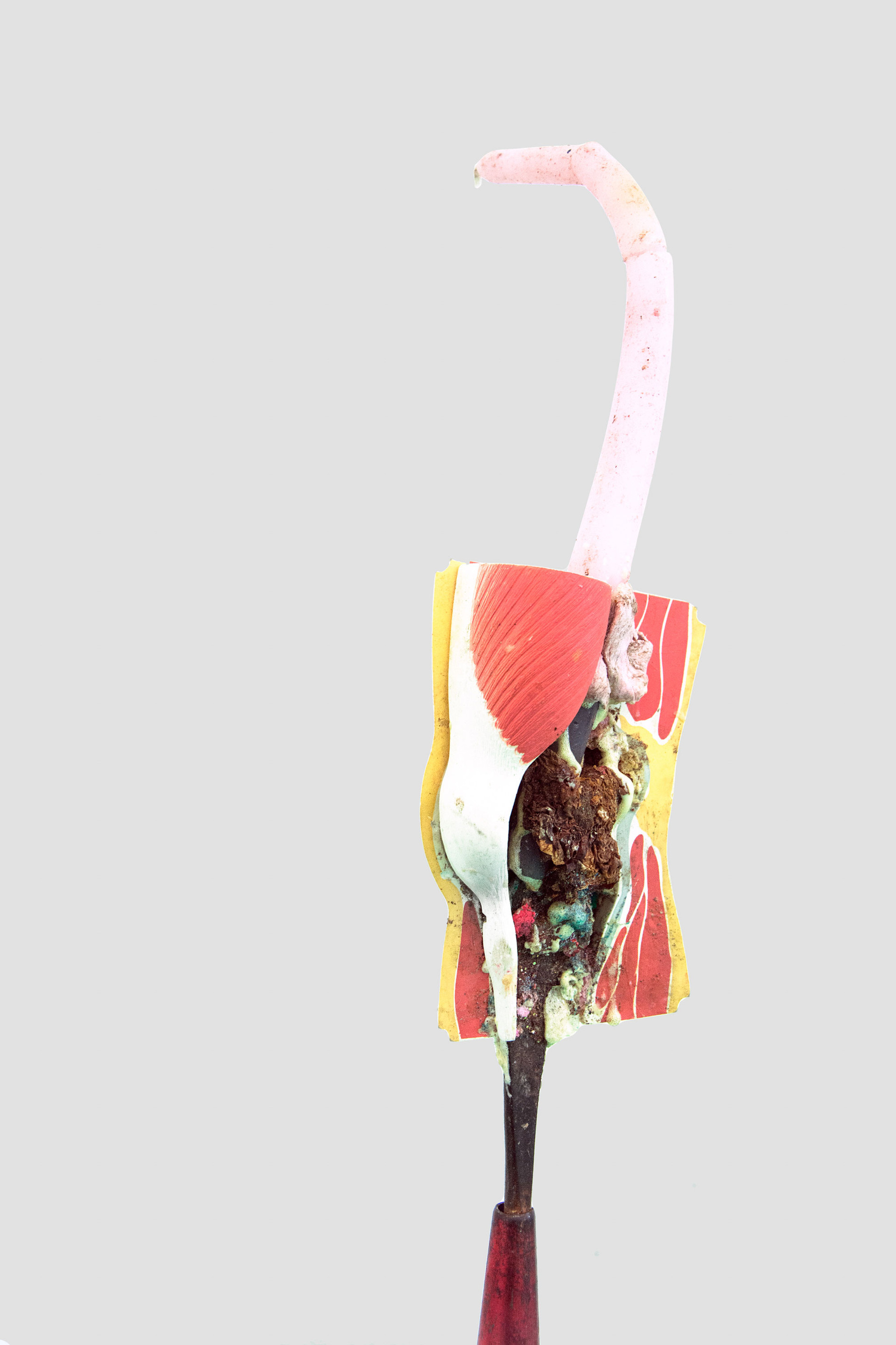 untitled image