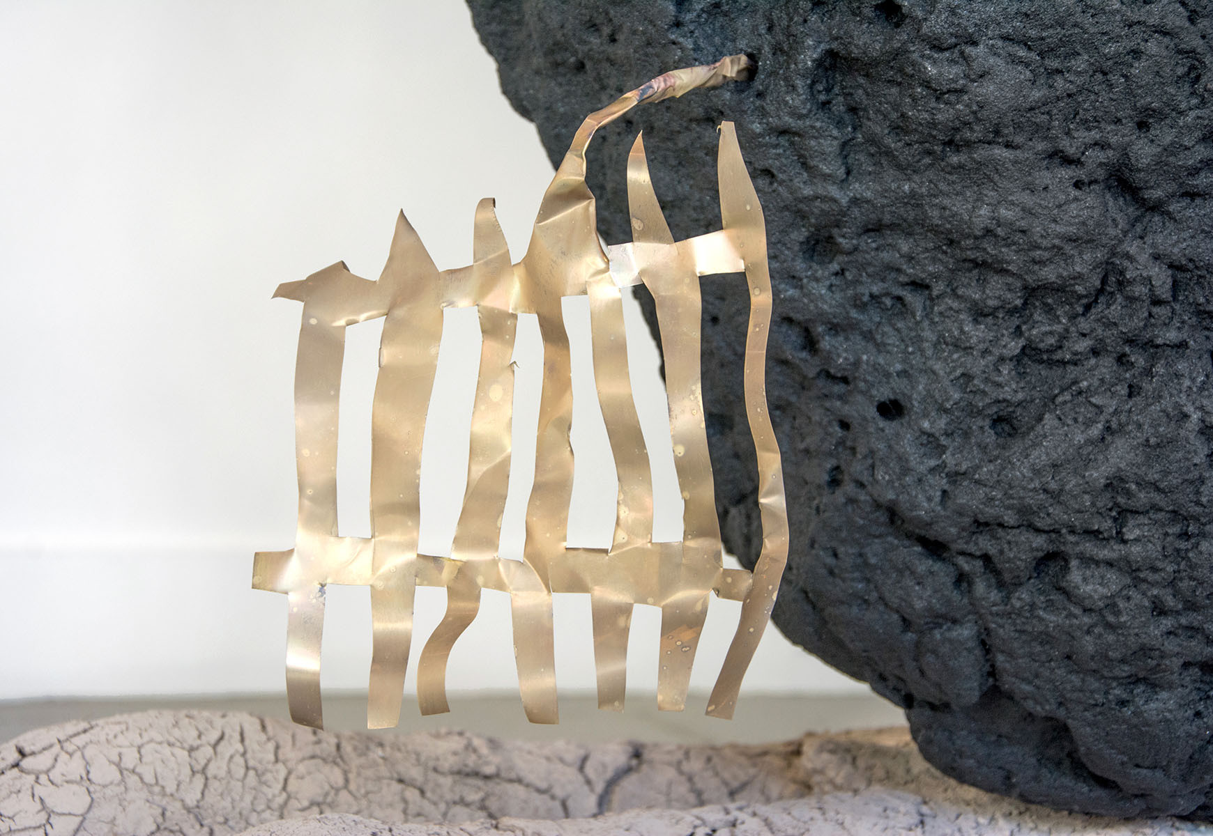 SV Randall, Contemporary Artist