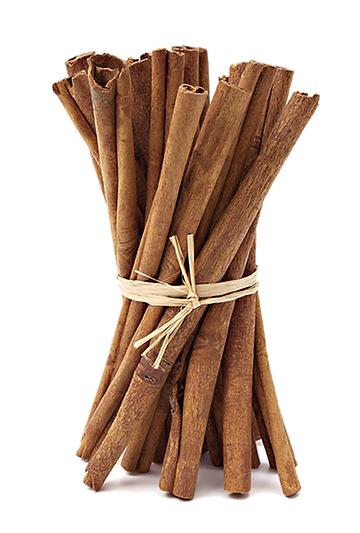 ramas de canela