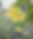 Screenshot 2023-07-06 at 15.07.52.png