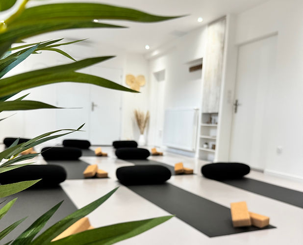 Studio Bodhi Yoga Epinal Julie Mathieu.jpg