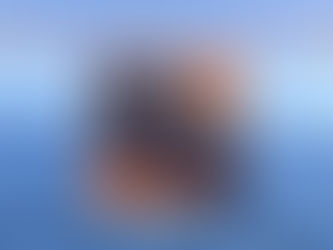 Ein Bücherschrank vor dem Hintergrund des Meeres