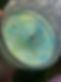 IMG_2205.jpeg