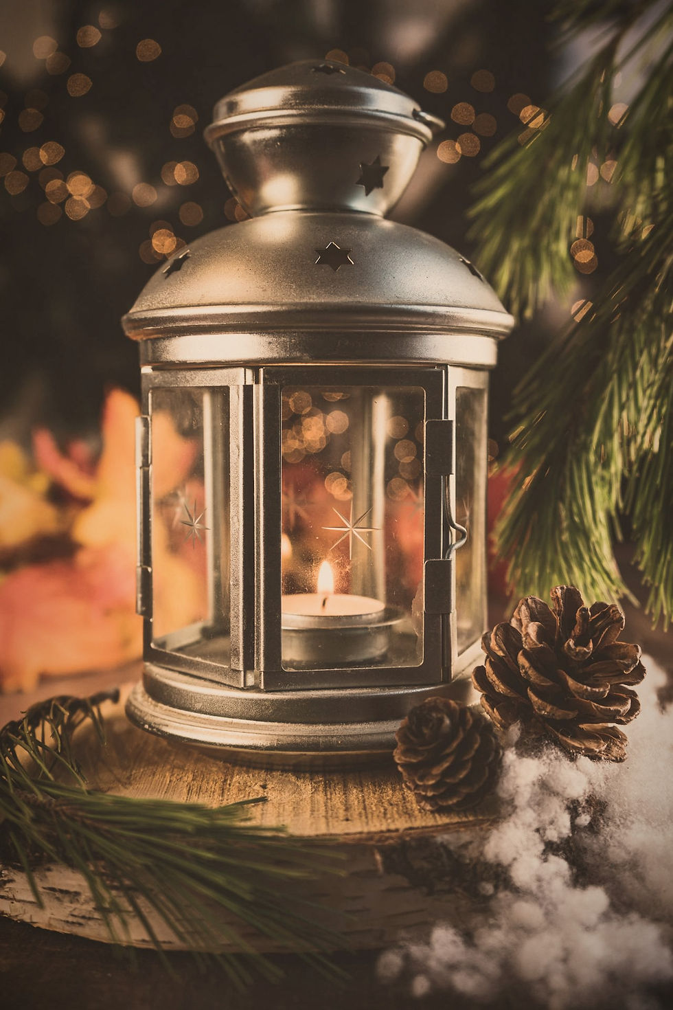 A lantern sits on a forest floor surrounded by pine boughs and pine cones.