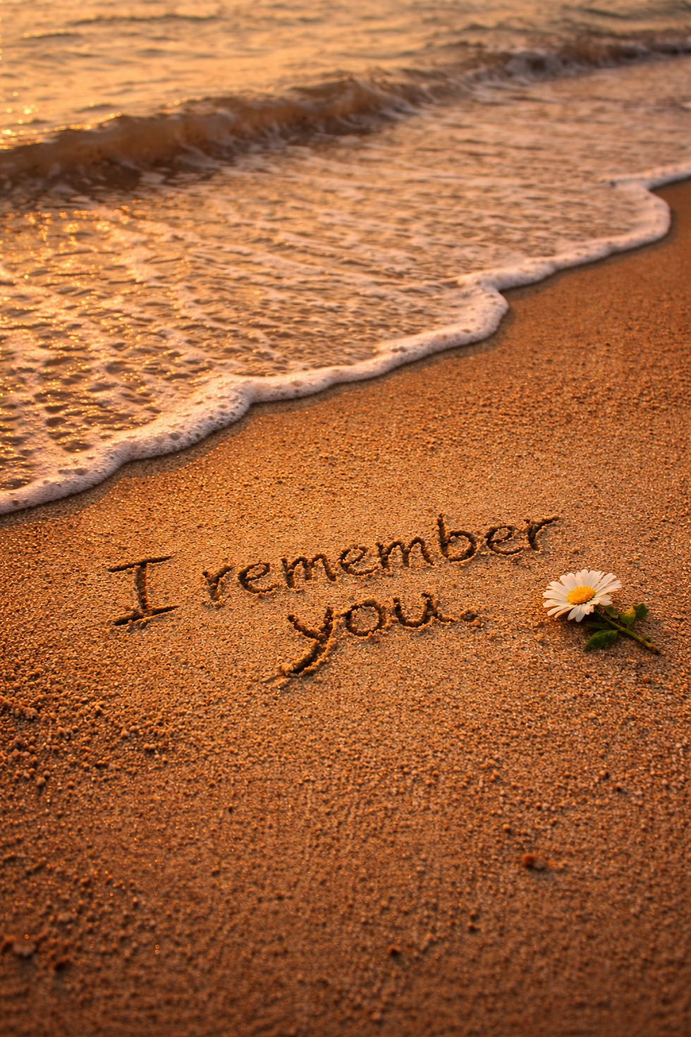 Message “I remember you” written in wet sand beside a small flower, with ocean tide approaching in the background.
