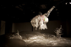 urban creatures2012-2