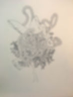 drawing