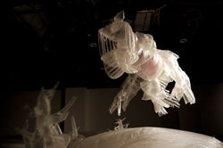 urban creatures2012-3