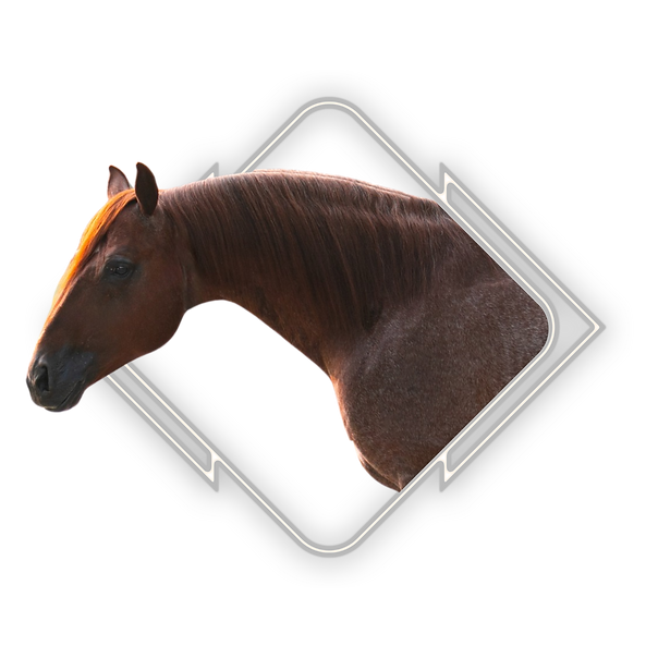 BLACKBURN FORST.png