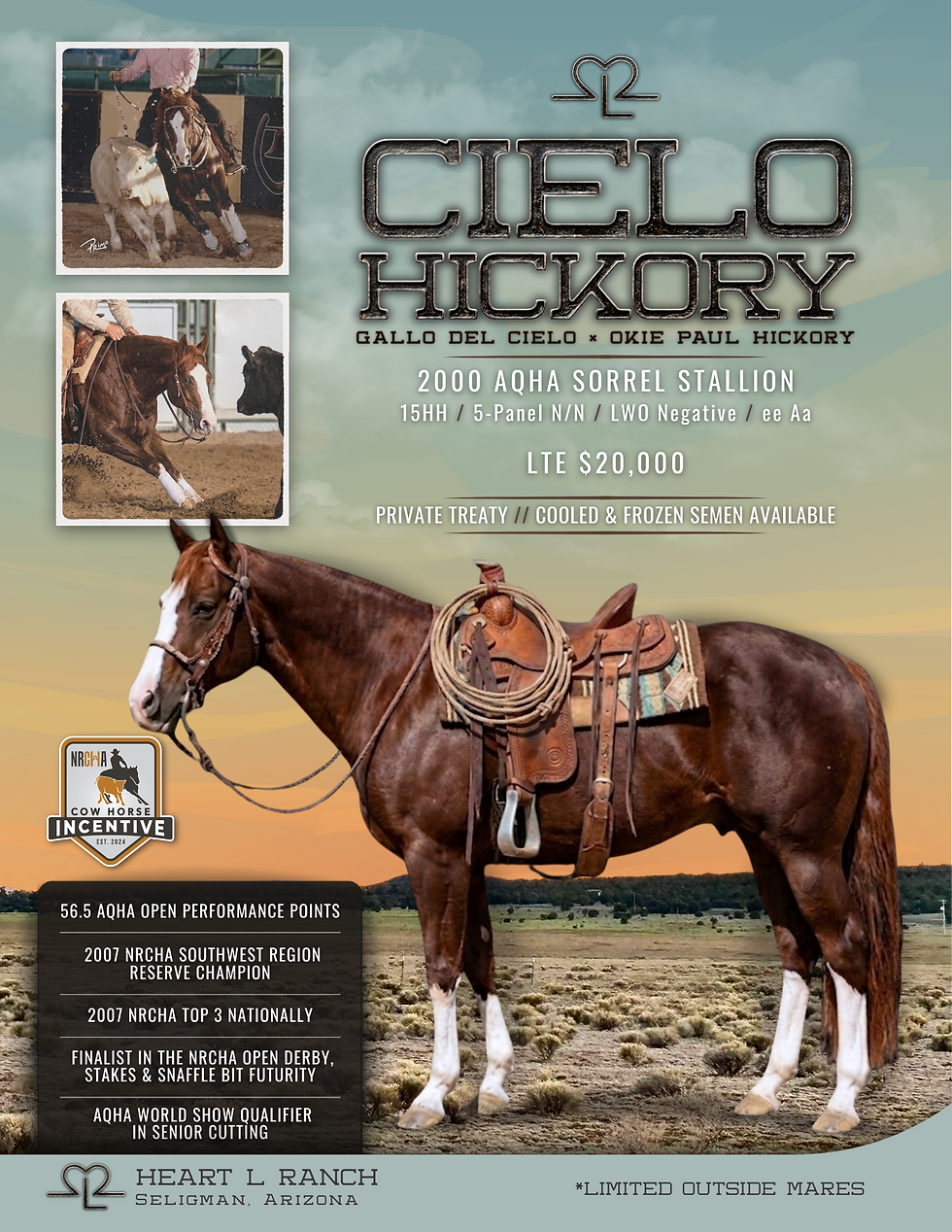CIELO HICKORY |  2026 STALLION FLYER