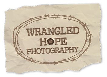 WHP ICON_edited.png