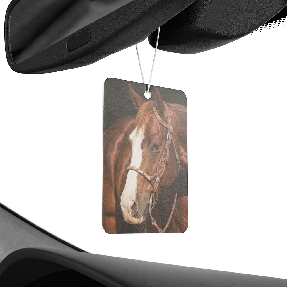 Thumbnail: Custom Horse + Stallion Air Fresheners