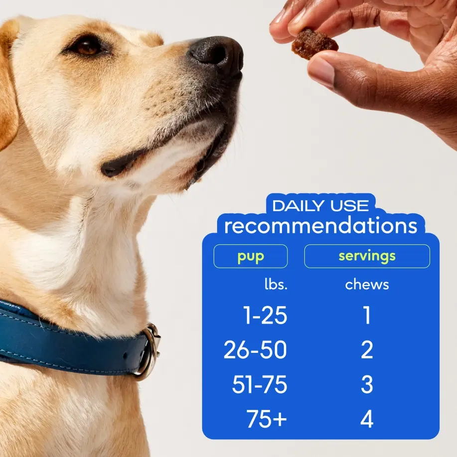 Thumbnail: Skin +Coat