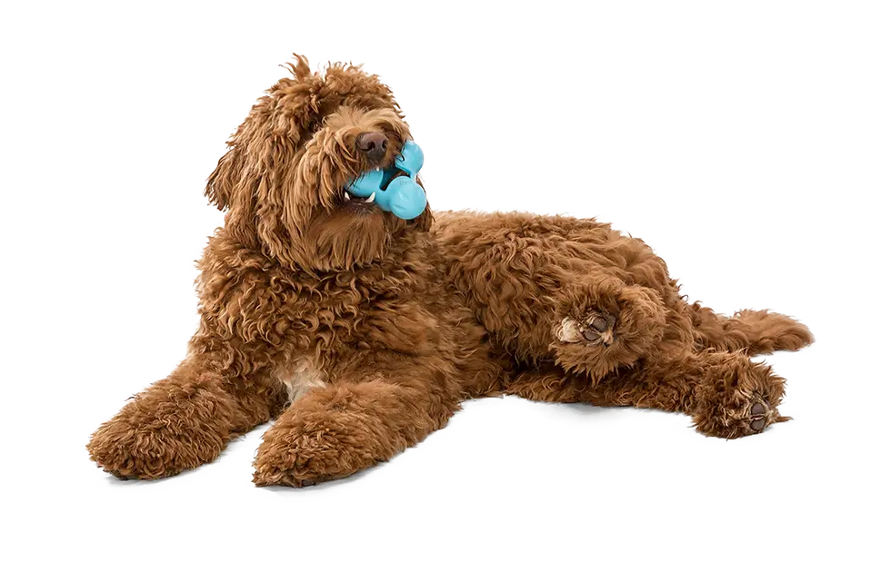 Thumbnail: Tux® Puzzle Treat-Dispensing Slow Feeder Dog Toy