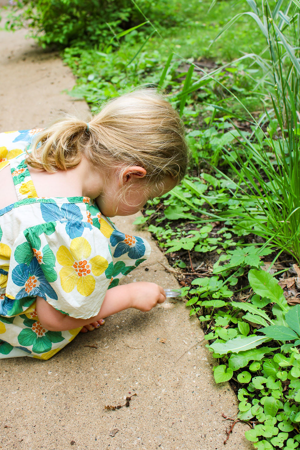 During the Tales of Summer: Nature Storytelling event, a young child uses one of the free magnifying glasses to explore the garden at Porch Light Literary Center.