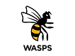Wasps (1).png