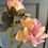 Thumbnail: Double faded pink shades  peony