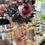 Thumbnail: Double faded pink shades  peony