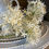 Thumbnail: A 3 flower stem faux Allium Abigail Ahern cream