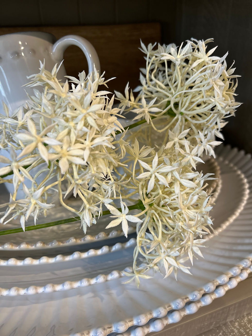 A 3 flower stem faux Allium Abigail Ahern cream