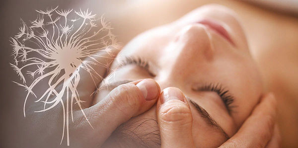 access bar | naturach | soin énergétique | nendaz | valais