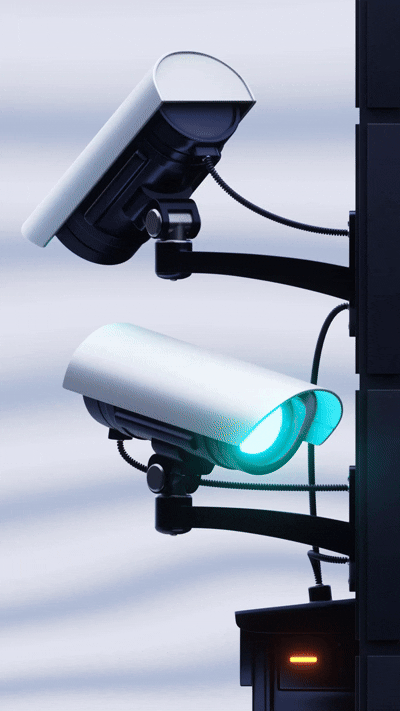 IP CAMERAS