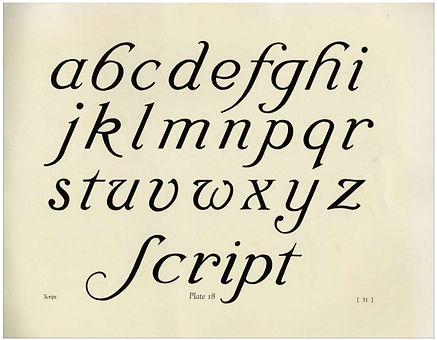 script2.jpg