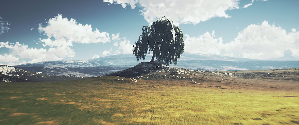 Landscape 1.jpg
