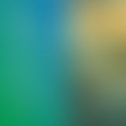 Steigende Nachfrage auf dem globalen Düngemittelmarkt durch politische UnterstützungChinas Kalimarkt schließt 2025 auf hohem Niveau ab und startet 2026 mit anhaltender Festigkeit