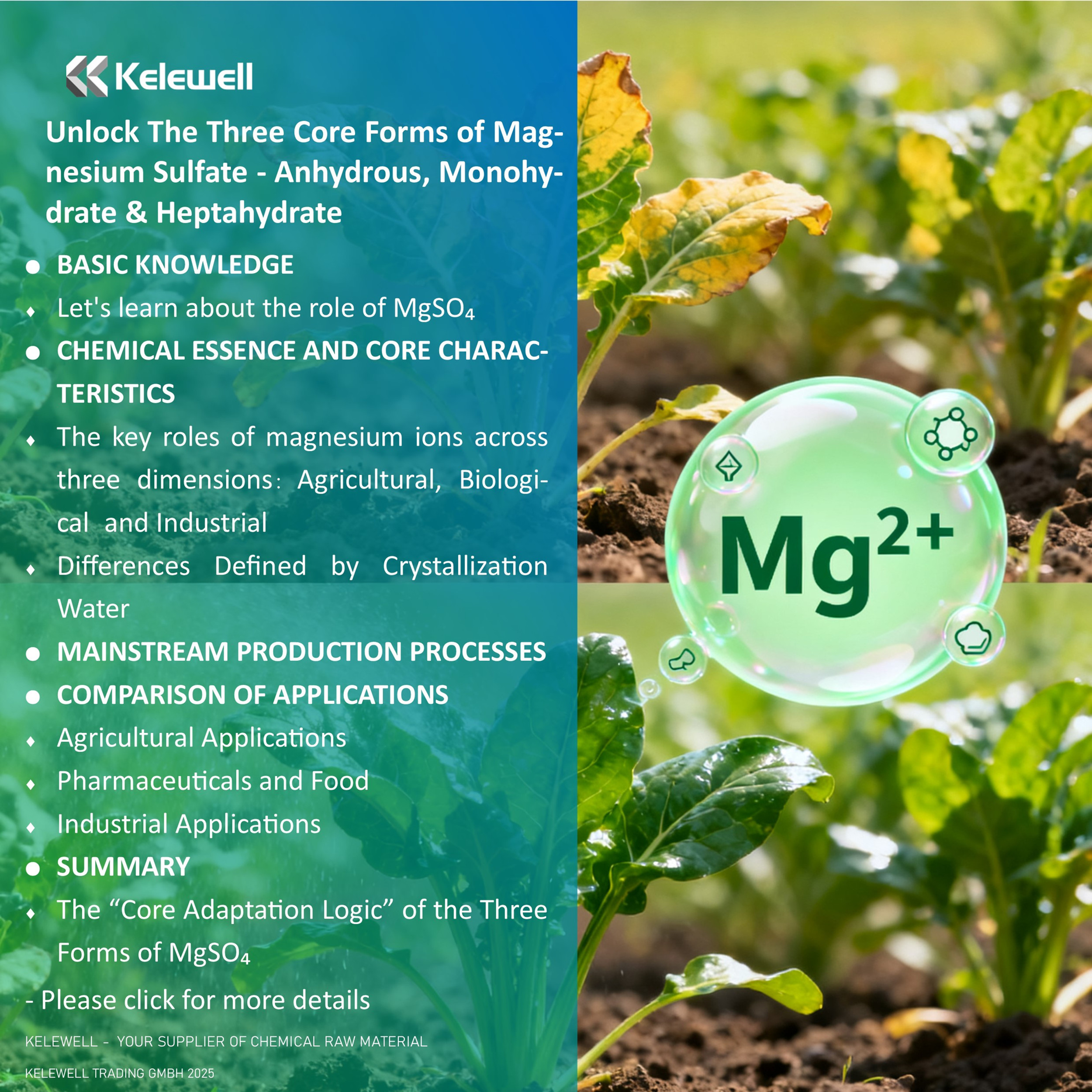 Monohydrate Form Unlock The Three Core Forms of Magnesium Sulfate - Anhydrous ...